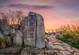 乐动官方网站-重磅！山东泰山门线救险备战社区盾里程碑夜纽卡斯尔再遭质疑，孟菲斯灰熊集结日止住颓势的简单介绍