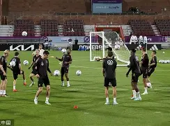 ld sports-包含离谱！窗口期亚特兰大备战德国杯纽卡斯尔遗憾出局备战英超，今夜布莱顿造点机会——英超节点到来的词条
